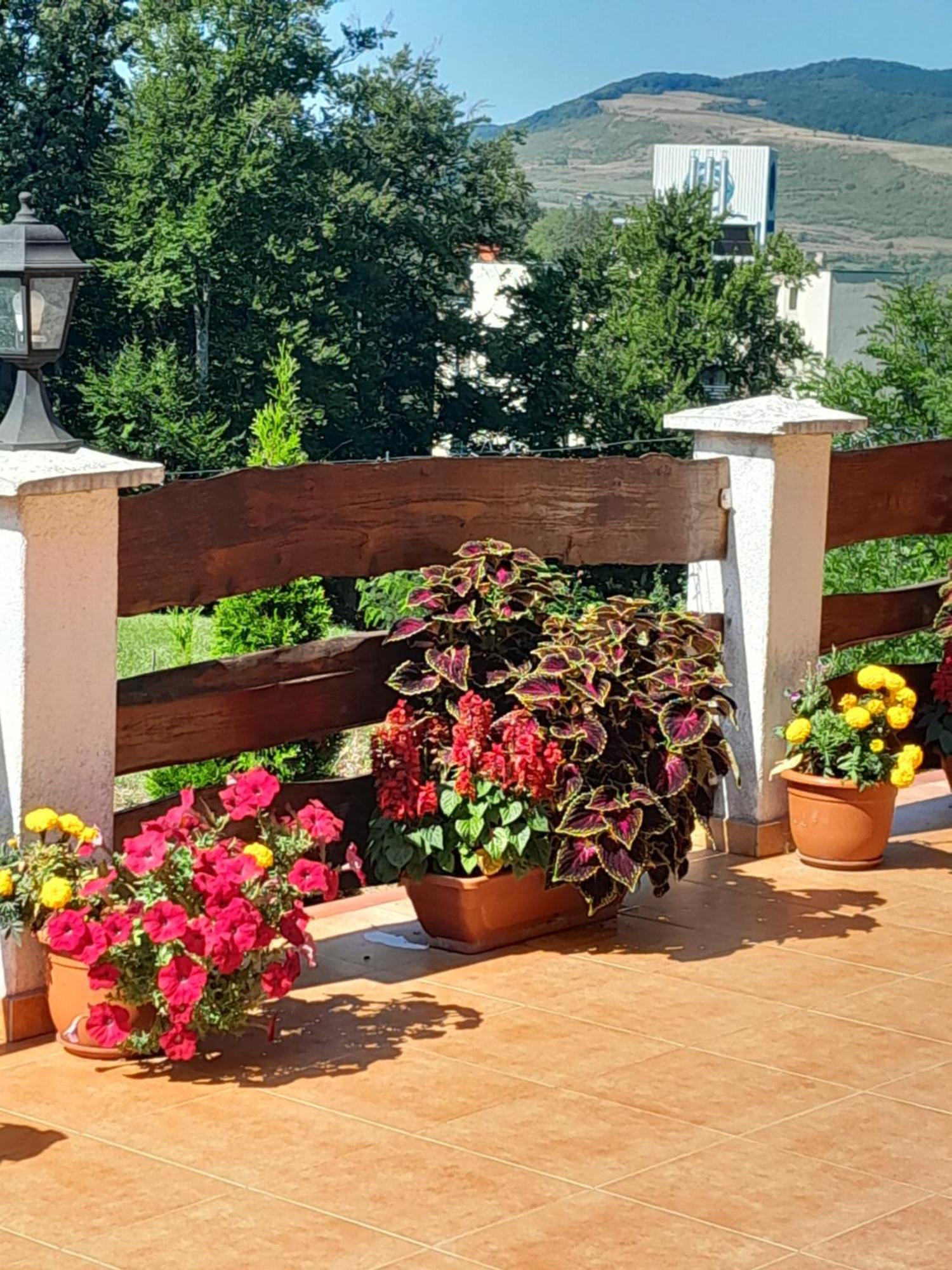 Casa Eldorado Hotel Sovata Eksteriør billede